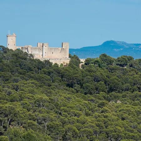 Rei Des Pla * Palma de Mallorca